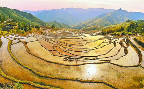 申論熱點：給農業文化遺產更多關注